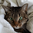 Bryna_Block