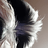 David_Evans