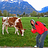 Garrett_Jockel