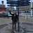 Graeme_Gilovitz
