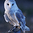 Nancy_Desgue