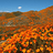 Rae_Reierson1