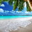 Shannon_Wiggen