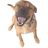 deisterhold