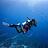 marine-ecologist