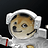 shiba_HacziX
