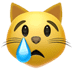 :crying_cat_face: