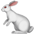 :rabbit2: