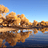Alan_Yang
