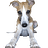 MavenScout