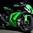 Preybird1