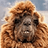 Andrew_Vine