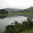 Ashish_Mukherjee