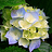 Azhar_uddin