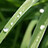 calvin_zhang1206