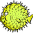 dss
