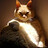 missingcat92