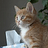 Timothy