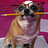 Shay_Ben_shabtay
