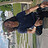 Artur_Rodrigues