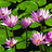 aung_htetmyat