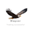 Blayver_NB