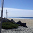 Charles_Grigg