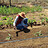 community_farming