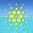 sunny_stakepool