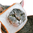 funnycat