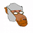 australopithecus