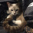 Candice_Wan