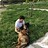 Eser_Comak