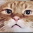 ploy_chokchaikul