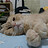 SHU_HAN_LIN