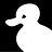dizzyduck