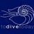 todivetoday