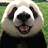 Lazy-Panda