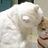 Chiichen