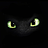 darklyspaced