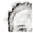 nalply