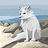 Alex_Grego