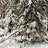 Andrew_Malcolmson1