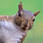 Jordan_Hubbard_US