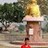 Nischal