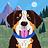 Pettify