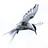 tom_li