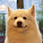 Alex_Zhang