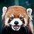 Redpanda78