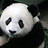Renato_Lopez